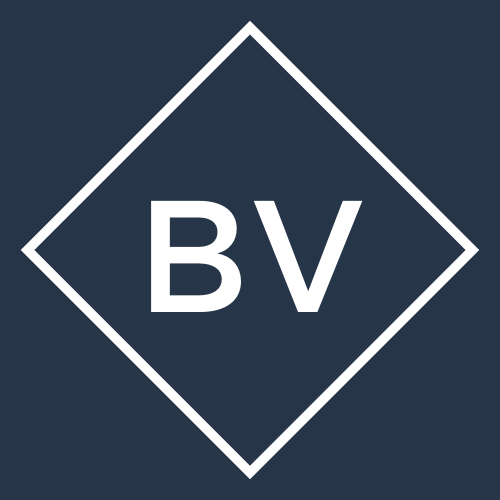 BV - web developer - logo